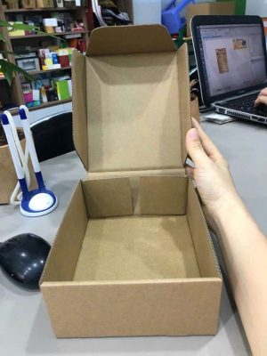 Hộp giấy nắp gài hông