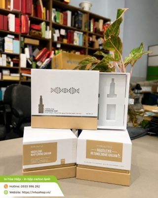 In hộp carton lạnh cao cấp theo yêu cầu tại TPHCM