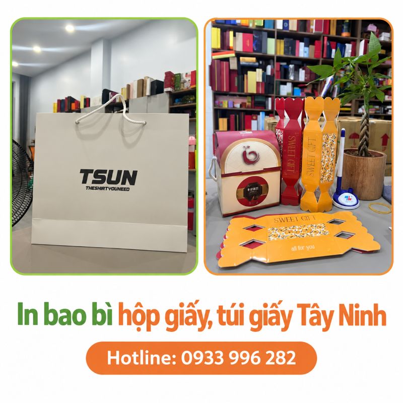 In bao bì hộp giấy, túi giấy Tây Ninh – Xưởng sản xuất giá tốt